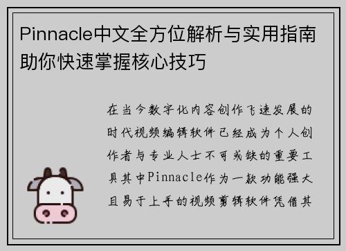 Pinnacle中文全方位解析与实用指南助你快速掌握核心技巧