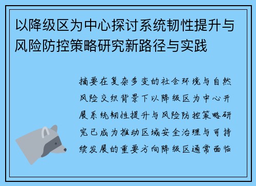以降级区为中心探讨系统韧性提升与风险防控策略研究新路径与实践