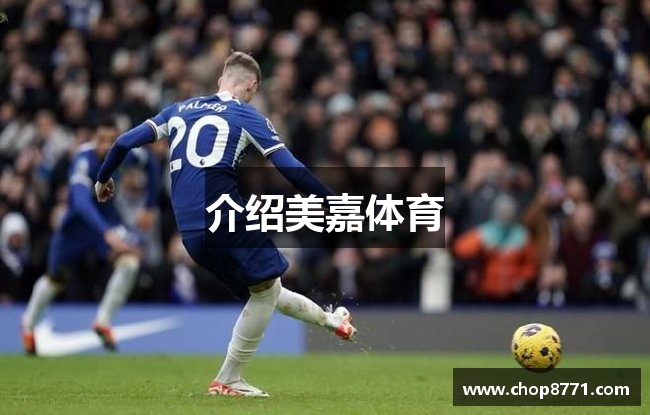 介绍美嘉体育